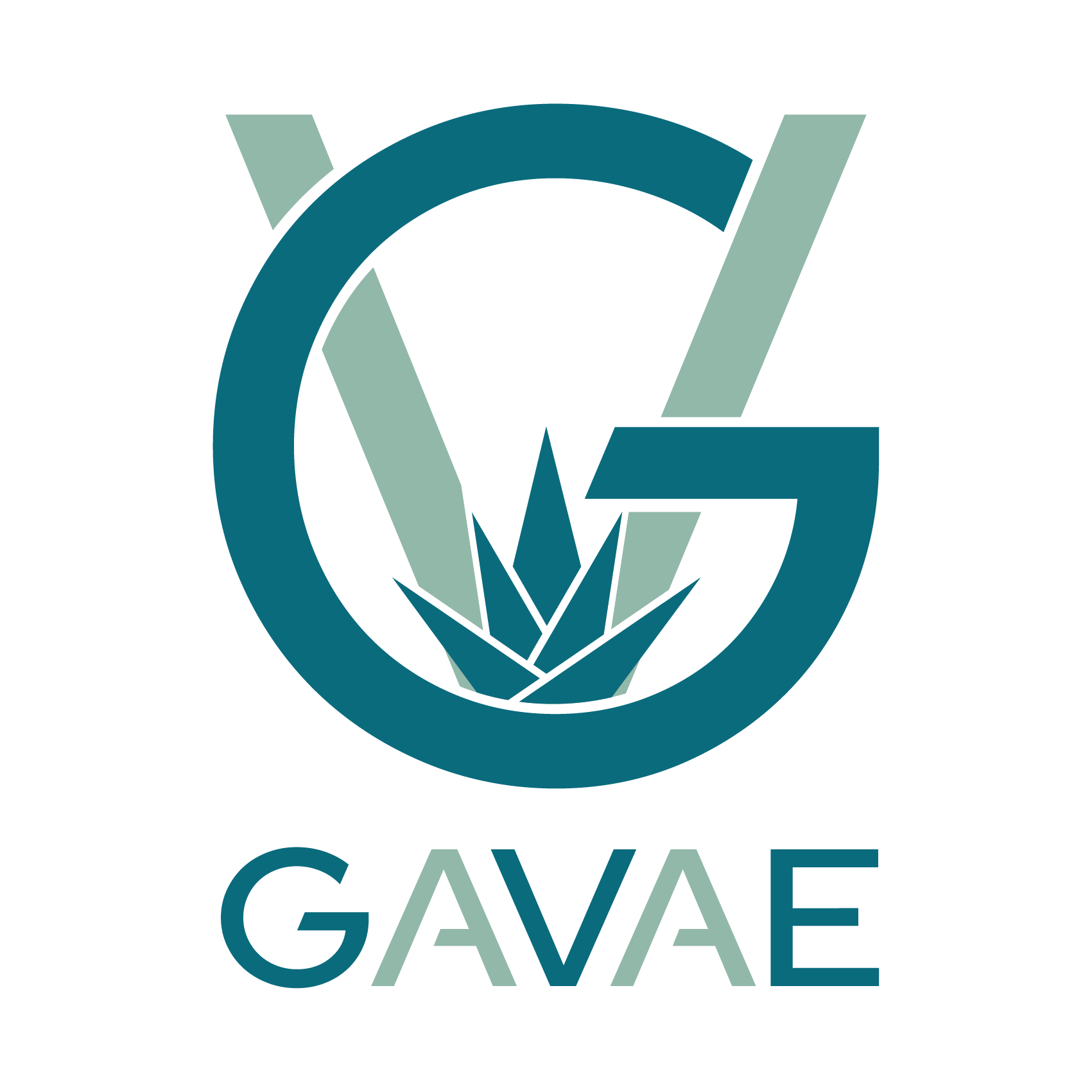 Gavae